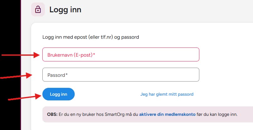 Innloggingssiden med felt for brukernavn, passord og knappen Logg inn